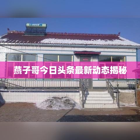 燕子哥今日头条最新动态揭秘