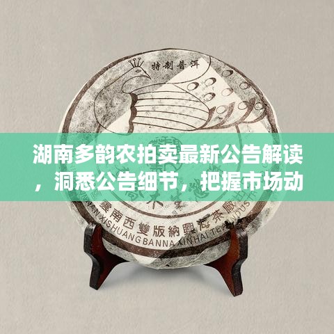 湖南多韵农拍卖最新公告解读，洞悉公告细节，把握市场动态