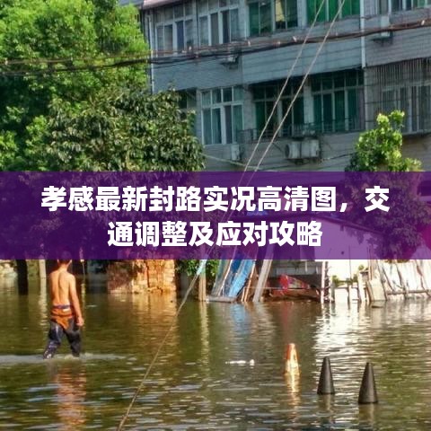 孝感最新封路实况高清图，交通调整及应对攻略