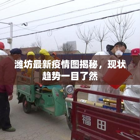 潍坊最新疫情图揭秘，现状趋势一目了然