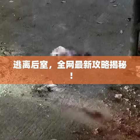 逃离后室，全网最新攻略揭秘！