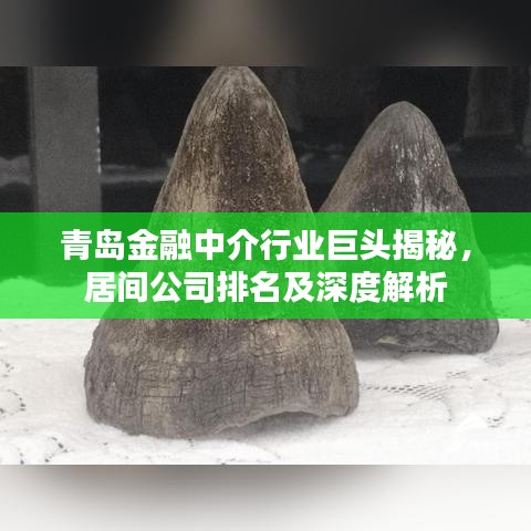 青岛金融中介行业巨头揭秘，居间公司排名及深度解析
