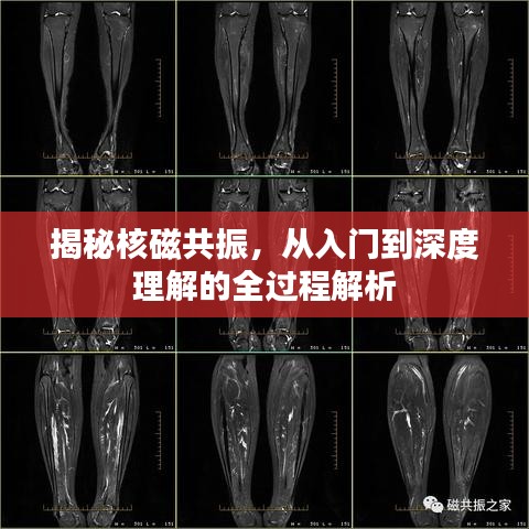 七上八下 第2页
