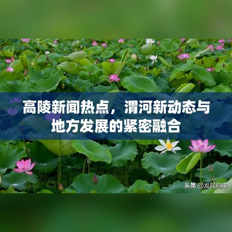 高陵新闻热点，渭河新动态与地方发展的紧密融合