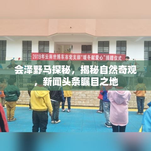 会泽野马探秘，揭秘自然奇观，新闻头条瞩目之地