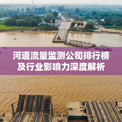 河道流量监测公司排行榜及行业影响力深度解析