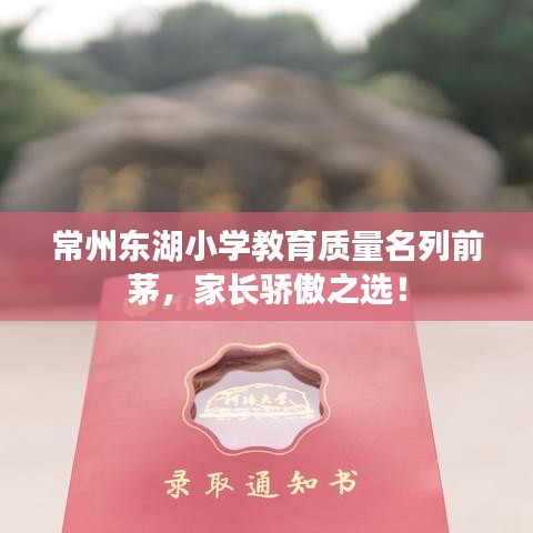 常州东湖小学教育质量名列前茅，家长骄傲之选！