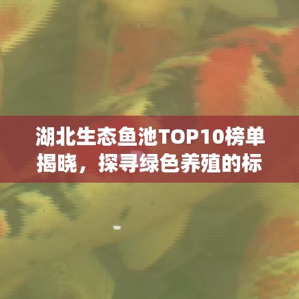 湖北生态鱼池TOP10榜单揭晓，探寻绿色养殖的标杆典范