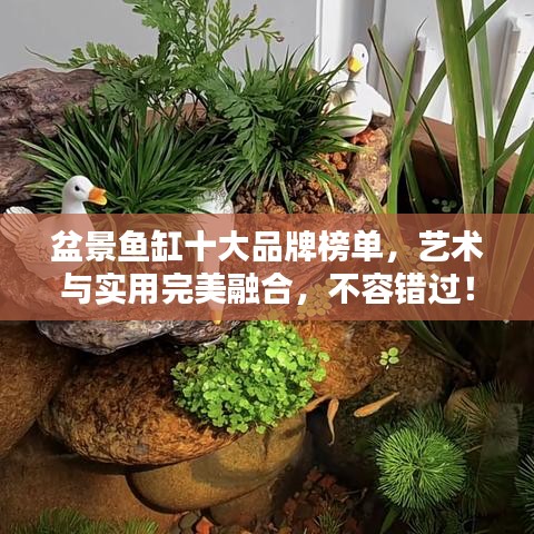 盆景鱼缸十大品牌榜单，艺术与实用完美融合，不容错过！