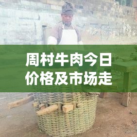 周村牛肉今日价格及市场走势深度解析，最新消息与影响因素全揭秘