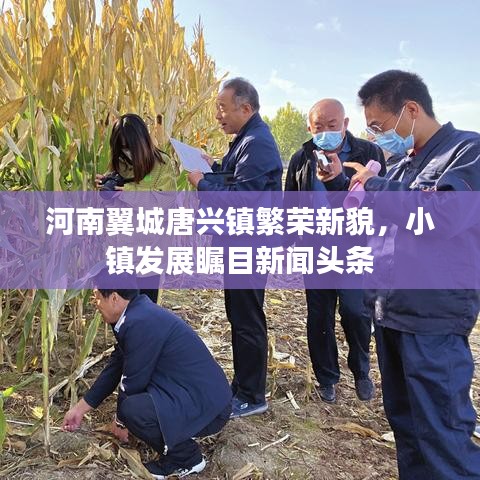 河南翼城唐兴镇繁荣新貌，小镇发展瞩目新闻头条