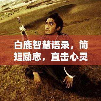 眉飞色舞 第2页