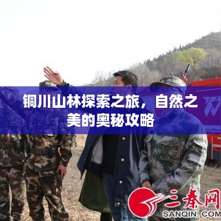 铜川山林探索之旅，自然之美的奥秘攻略