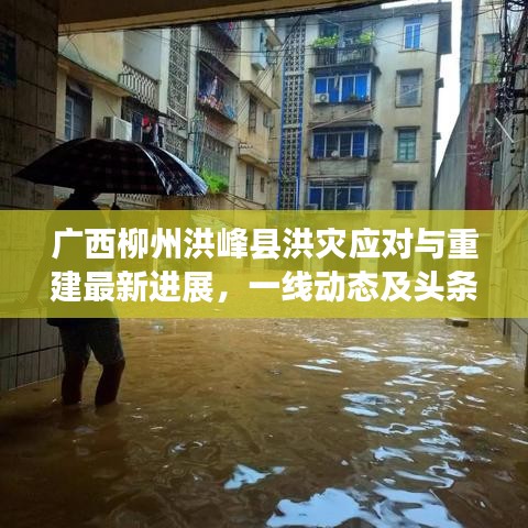 广西柳州洪峰县洪灾应对与重建最新进展，一线动态及头条新闻速递