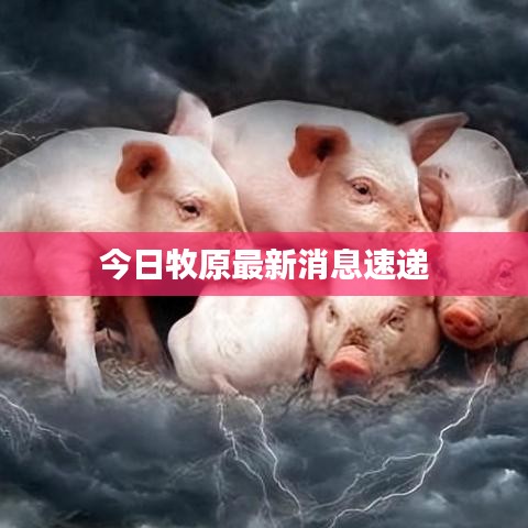 今日牧原最新消息速递