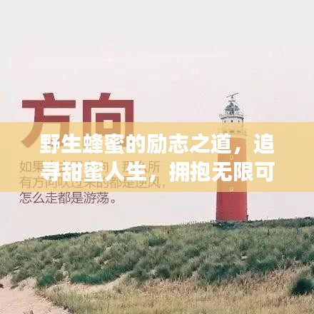野生蜂蜜的励志之道，追寻甜蜜人生，拥抱无限可能，激励你前行！