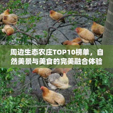 周边生态农庄TOP10榜单，自然美景与美食的完美融合体验