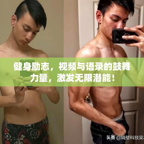健身励志，视频与语录的鼓舞力量，激发无限潜能！
