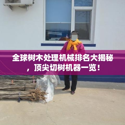 全球树木处理机械排名大揭秘，顶尖切树机器一览！