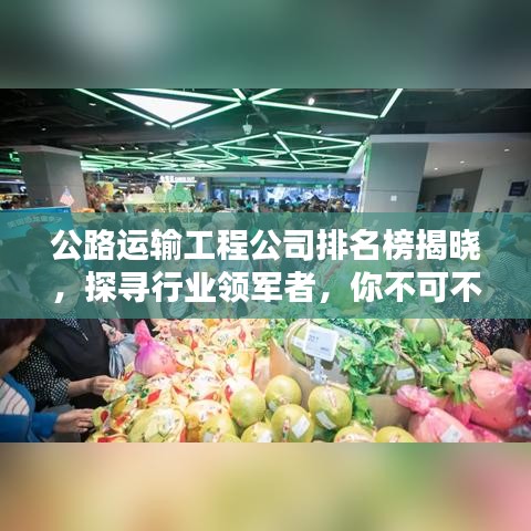 公路运输工程公司排名榜揭晓，探寻行业领军者，你不可不知！