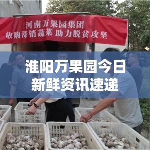 淮阳万果园今日新鲜资讯速递