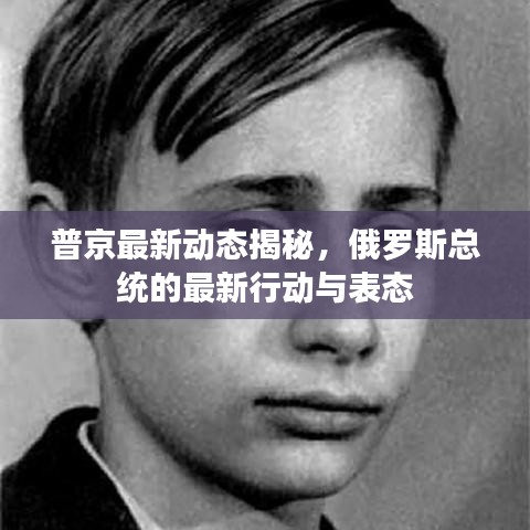 普京最新动态揭秘，俄罗斯总统的最新行动与表态