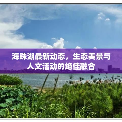 海珠湖最新动态，生态美景与人文活动的绝佳融合