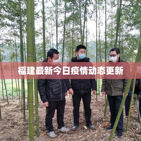 福建最新今日疫情动态更新