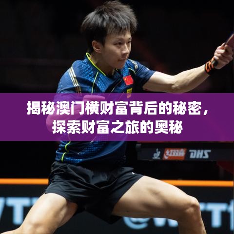 揭秘澳门横财富背后的秘密，探索财富之旅的奥秘
