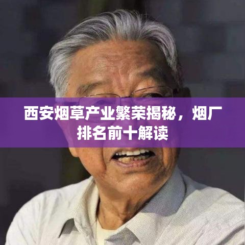 西安烟草产业繁荣揭秘，烟厂排名前十解读
