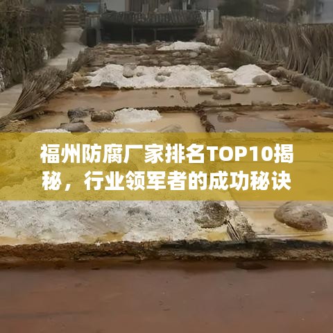 福州防腐厂家排名TOP10揭秘，行业领军者的成功秘诀