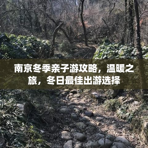 南京冬季亲子游攻略，温暖之旅，冬日最佳出游选择