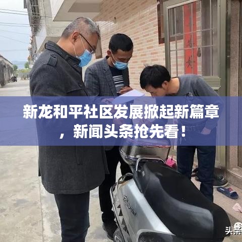 新龙和平社区发展掀起新篇章，新闻头条抢先看！