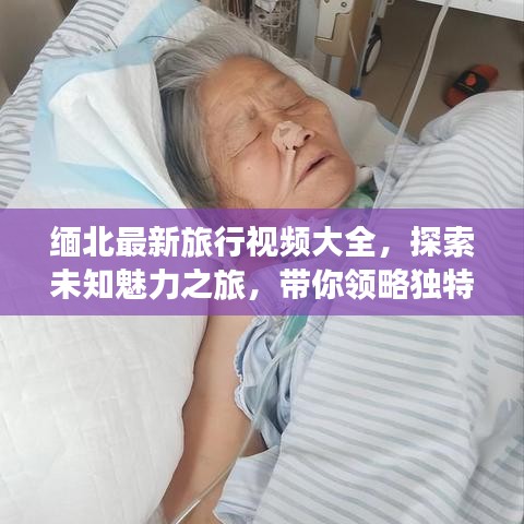 缅北最新旅行视频大全，探索未知魅力之旅，带你领略独特风光