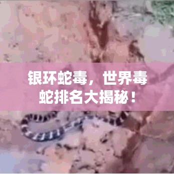 津津有味 第2页
