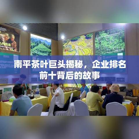 南平茶叶巨头揭秘，企业排名前十背后的故事