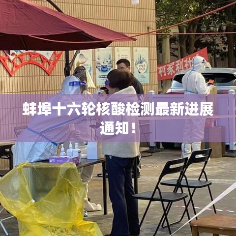 蚌埠十六轮核酸检测最新进展通知！