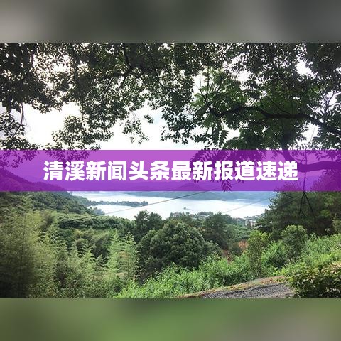 清溪新闻头条最新报道速递