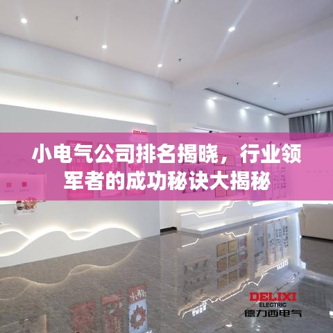 小电气公司排名揭晓，行业领军者的成功秘诀大揭秘
