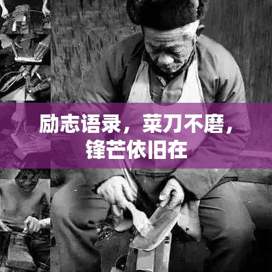 励志语录，菜刀不磨，锋芒依旧在