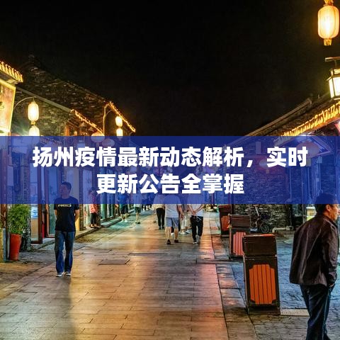 扬州疫情最新动态解析，实时更新公告全掌握