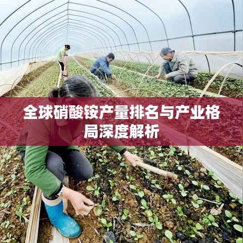 全球硝酸铵产量排名与产业格局深度解析