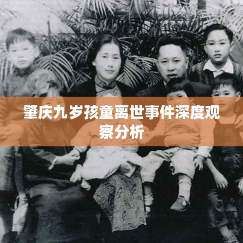 肇庆九岁孩童离世事件深度观察分析