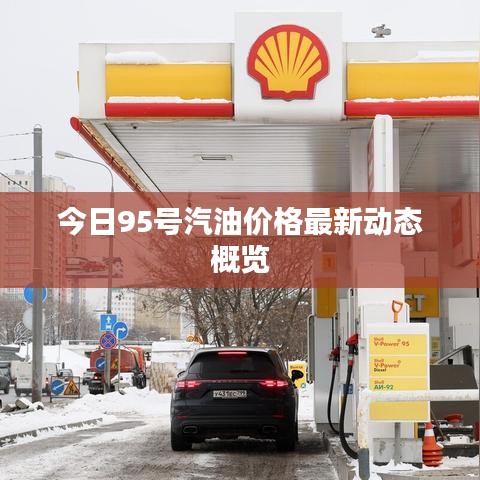今日95号汽油价格最新动态概览