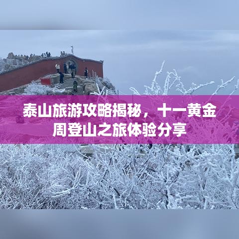 泰山旅游攻略揭秘，十一黄金周登山之旅体验分享