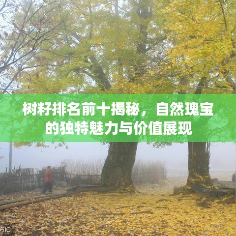 树籽排名前十揭秘，自然瑰宝的独特魅力与价值展现