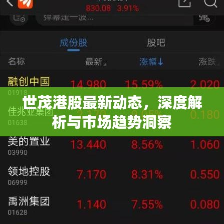 世茂港股最新动态，深度解析与市场趋势洞察