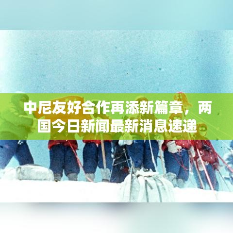 罗含梦鸟 第2页