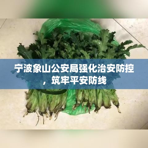 宁波象山公安局强化治安防控，筑牢平安防线