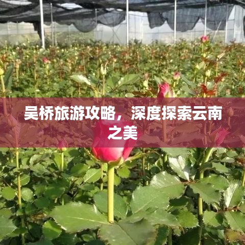 吴桥旅游攻略，深度探索云南之美